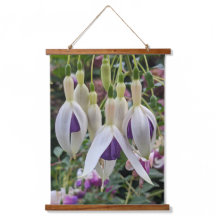Lila och White Hanging Fuchsia Blommigt