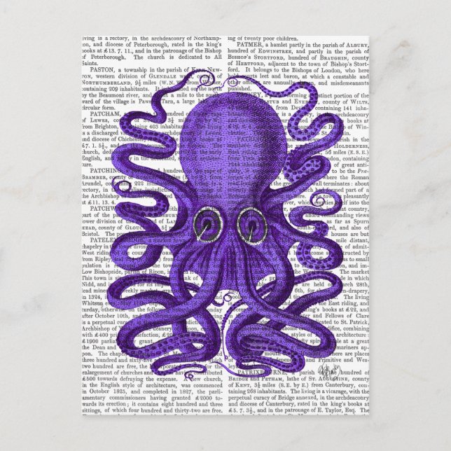 Lila Octopus Vykort (Framsida)