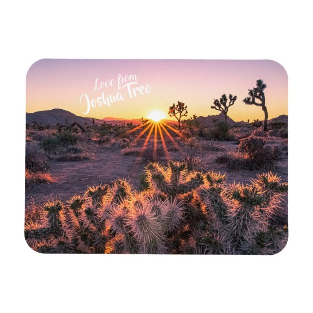 Lila Orange Cholla Cactus Joshua Träd Sunset Magnet (Horisontell)