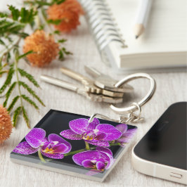 Lila orchid