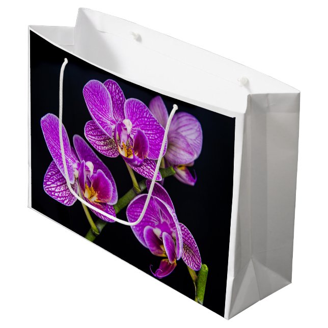 Lila orchid (Framsidan Vinklad)