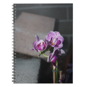Lila Orchid Anteckningsbok Med Spiral