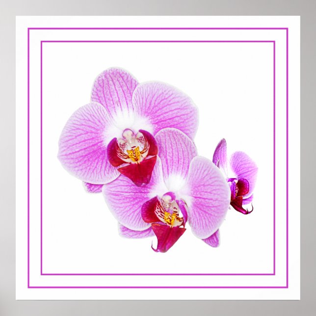 Lila Orchid Closeup Floral Photography Poster (Framsidan)