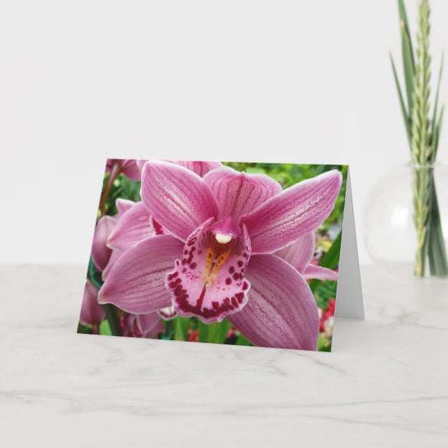 Lila Orchid Elegant Blommigt Kort (Framsida)