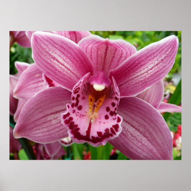 Lila Orchid Elegant Blommigt Poster (Framsidan)