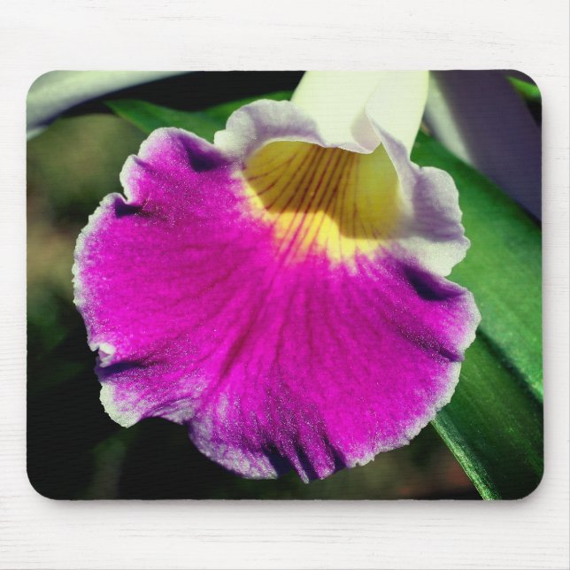 Lila Orchid Flower Musmatta (Framsidan)