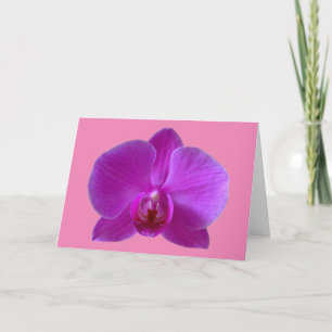 Lila Orchid Greeting Card Helgkort