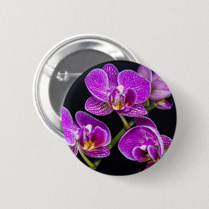 Lila orchid knapp