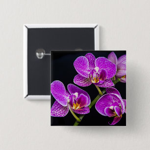 Lila orchid knapp
