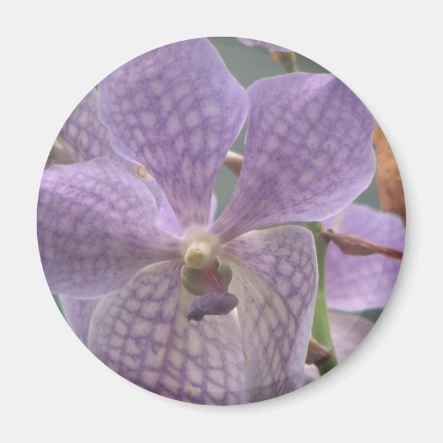 Lila Orchid Magnet (Framsidan)