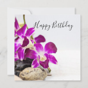 Lila orchid med stenfödelsebevis för svart hett