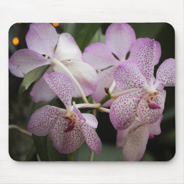 Lila Orchid Mousepad II Musmatta (Framsidan)