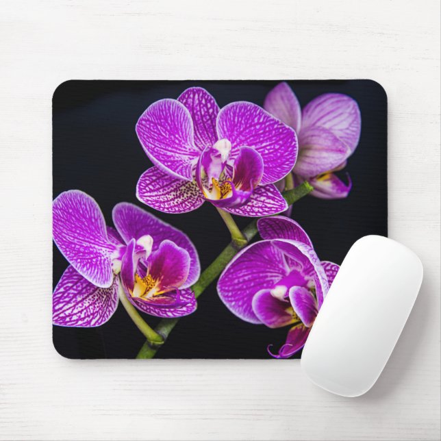 Lila orchid musmatta (Med mus)
