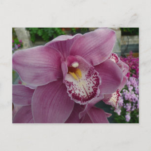 Lila Orchid och Garden Colorful Blommigt Vykort