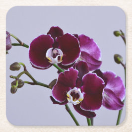 Lila Orchid Papper Underlägg Kvadrat