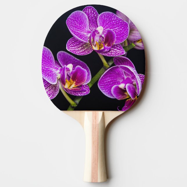 Lila orchid pingisracket (Baksidan)