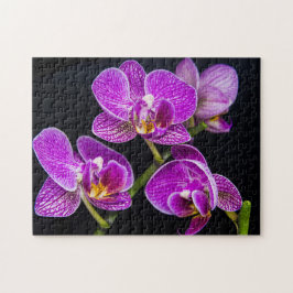 Lila orchid pussel