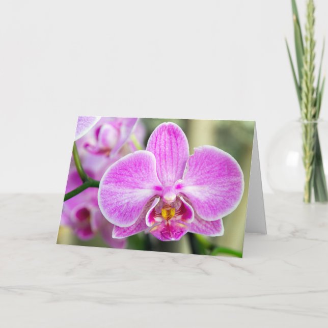 Lila Orchid Says Hi Kort (Framsida)