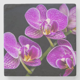 Lila orchid stenunderlägg