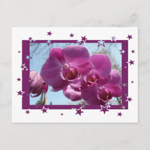 Lila Orchid Vykort