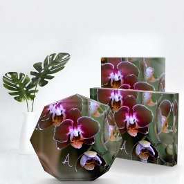 Lila Orchids botaniskt fotografiskt monogrammat