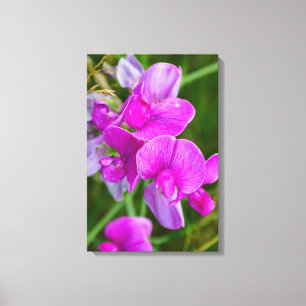 Lila Orchids Canvastryck