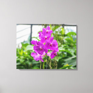 Lila orchids-kanvastryck canvastryck