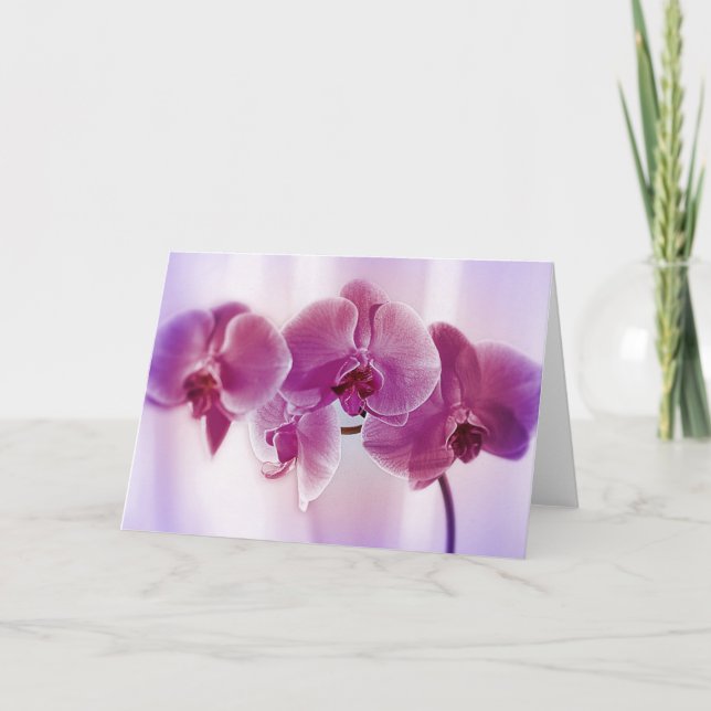 Lila Orchids Kort (Framsida)