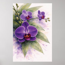 Lila orkidé botanisk  poster
