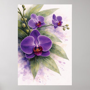 Lila orkidé botanisk poster