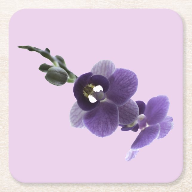 Lila, orkidé, Papper Underlägg Kvadrat (Framsidan)