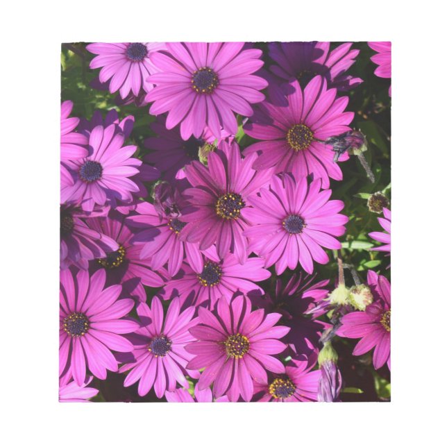 Lila Osteospermum Flowers Anteckningsblock (Framsida)