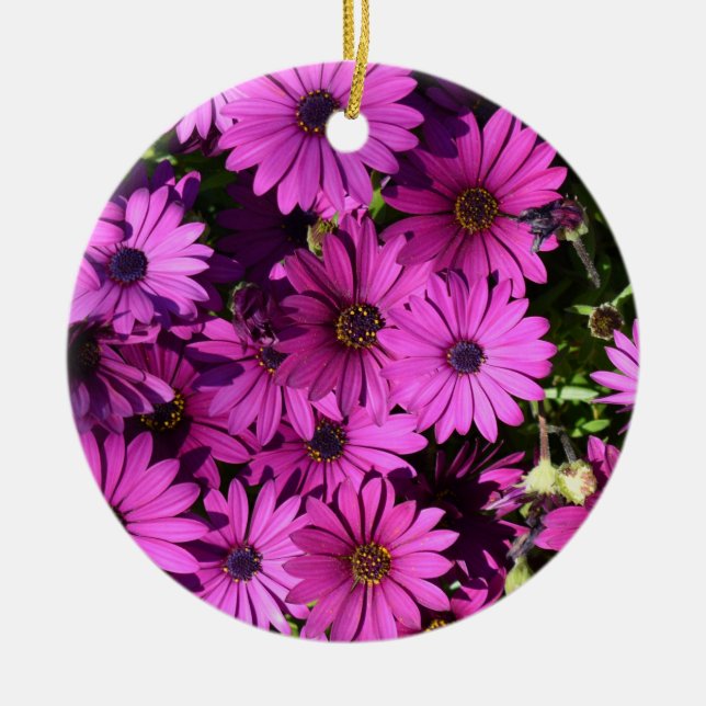 Lila Osteospermum Flowers Julgransprydnad Keramik (Framsidan)