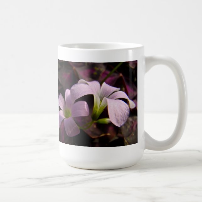 Lila Oxalis Blommar Kaffemugg (Höger)
