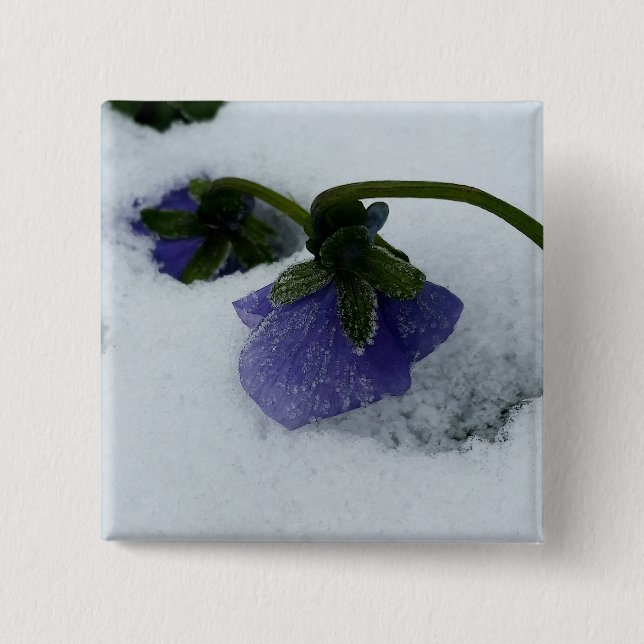 Lila på snö knapp (Framsida)