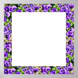 Lila Pansies Bild Ram, Poster