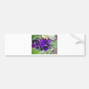 Lila Pansies Bildekal
