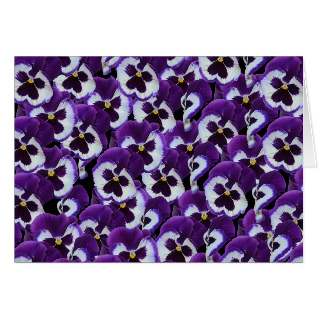 Lila Pansies Bouquet Hälsningskort (Framsidan Horizontal)