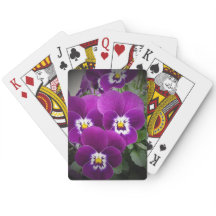 Lila Pansies