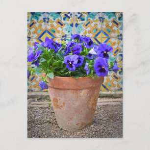 Lila Pansies Flower Pot Vykort