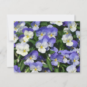 Lila Pansies Garden Blommigt