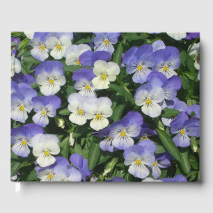 Lila Pansies Garden Blommigt Gästböcker
