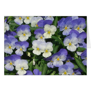 Lila Pansies Garden Blommigt Hälsningskort