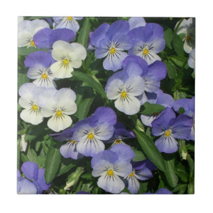 Lila Pansies Garden Blommigt Kakelplatta