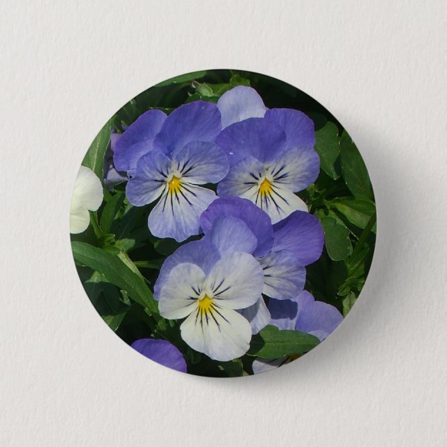 Lila Pansies Garden Blommigt Knapp (Framsida)
