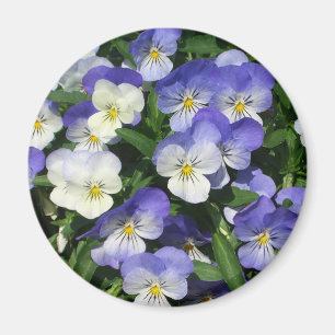 Lila Pansies Garden Blommigt Magnet
