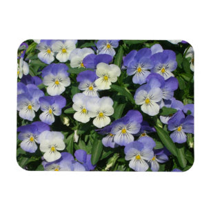 Lila Pansies Garden Blommigt Magnet