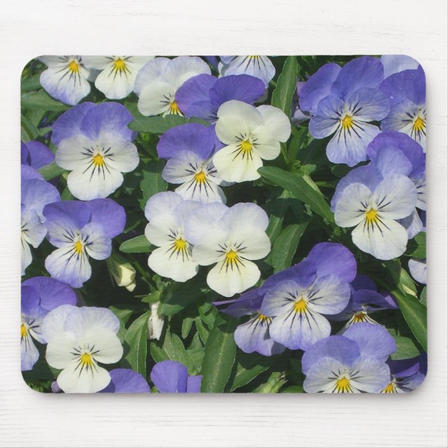 Lila Pansies Garden Blommigt Musmatta (Framsidan)