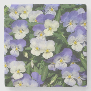 Lila Pansies Garden Blommigt Stenunderlägg