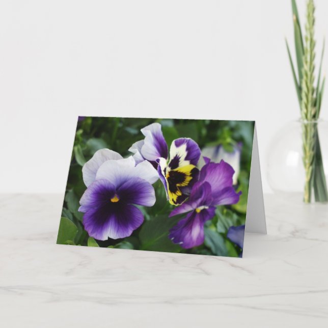 Lila Pansies Greeting Card Kort (Framsida)